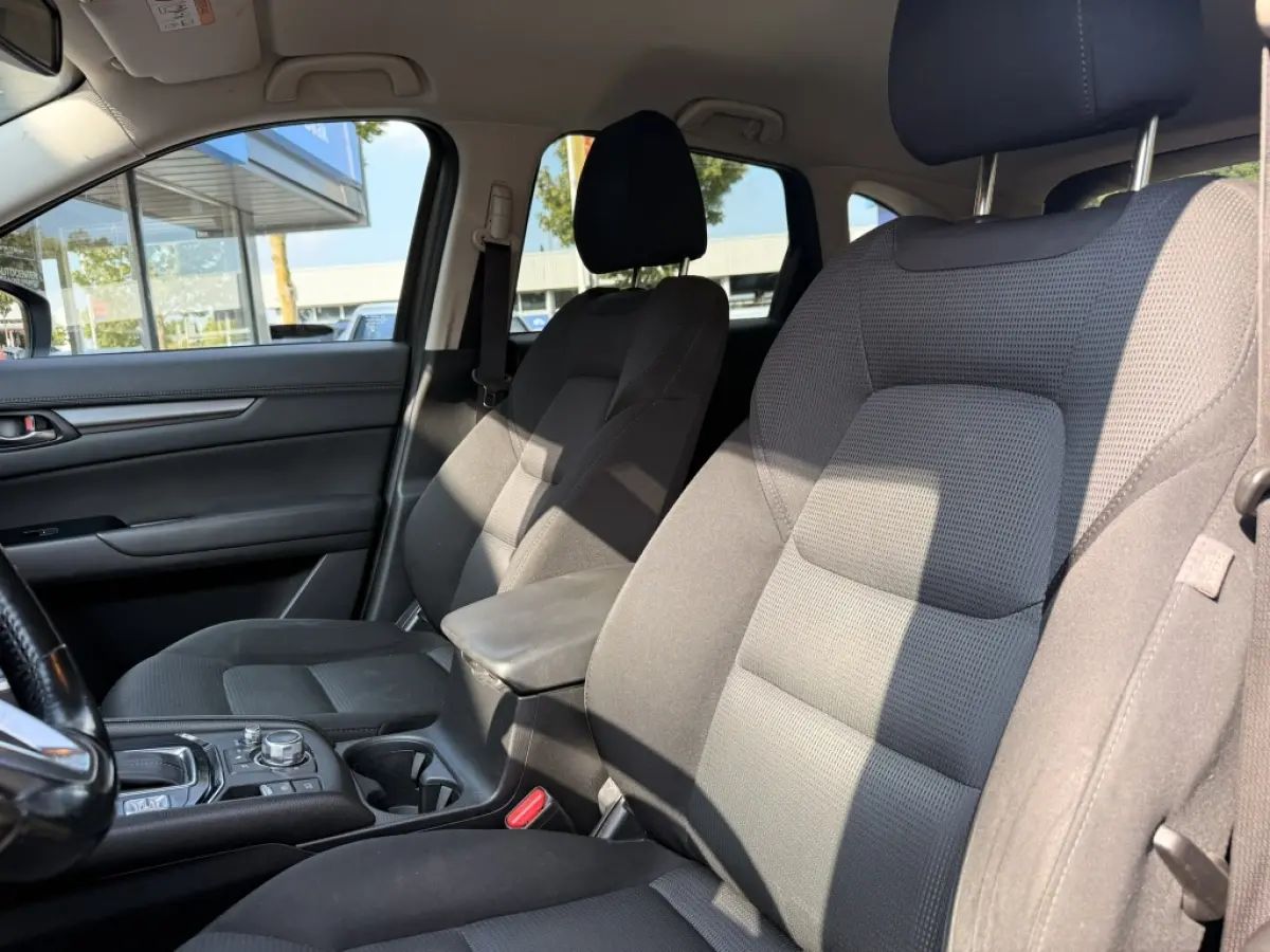 2.0 SAG 165 SkyLease+ | Trekhaak | Automaat