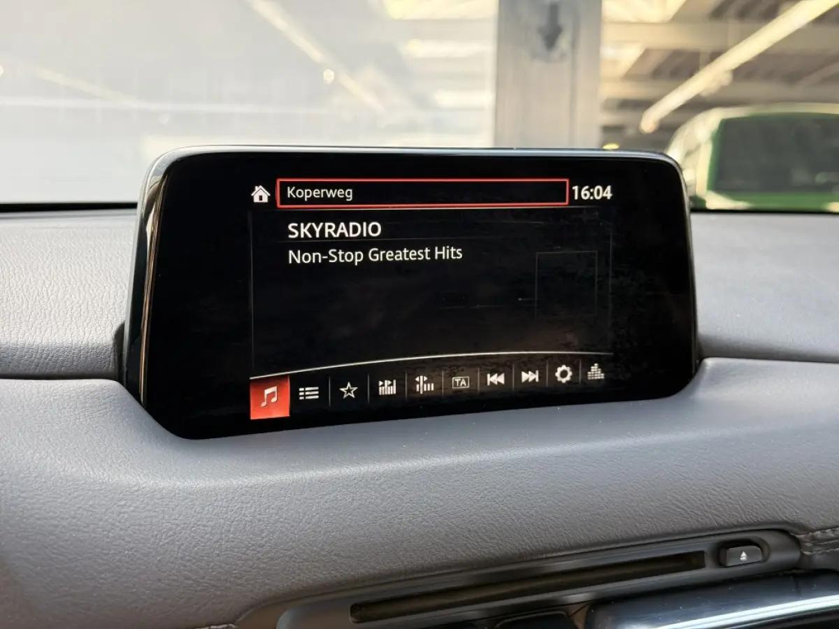 2.0 SAG 165 SkyLease+ | Trekhaak | Automaat