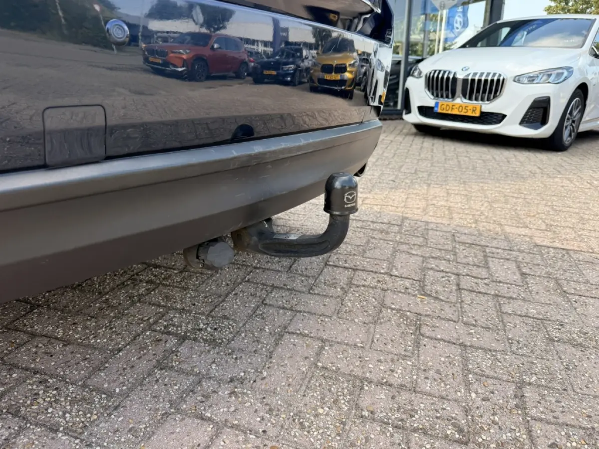 2.0 SAG 165 SkyLease+ | Trekhaak | Automaat
