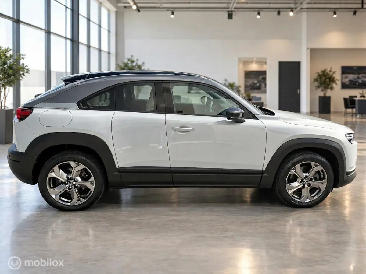 e-SkyActiv 145 First Edition 36 kWh | SOH 92,5% | HUD | Camera | Stoelverwarming
