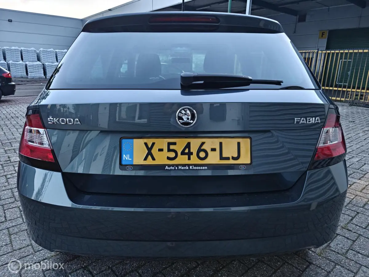 Hatchback 1.2TSi 110pk DSG-7 AUTOMAAT JOY LM PDC