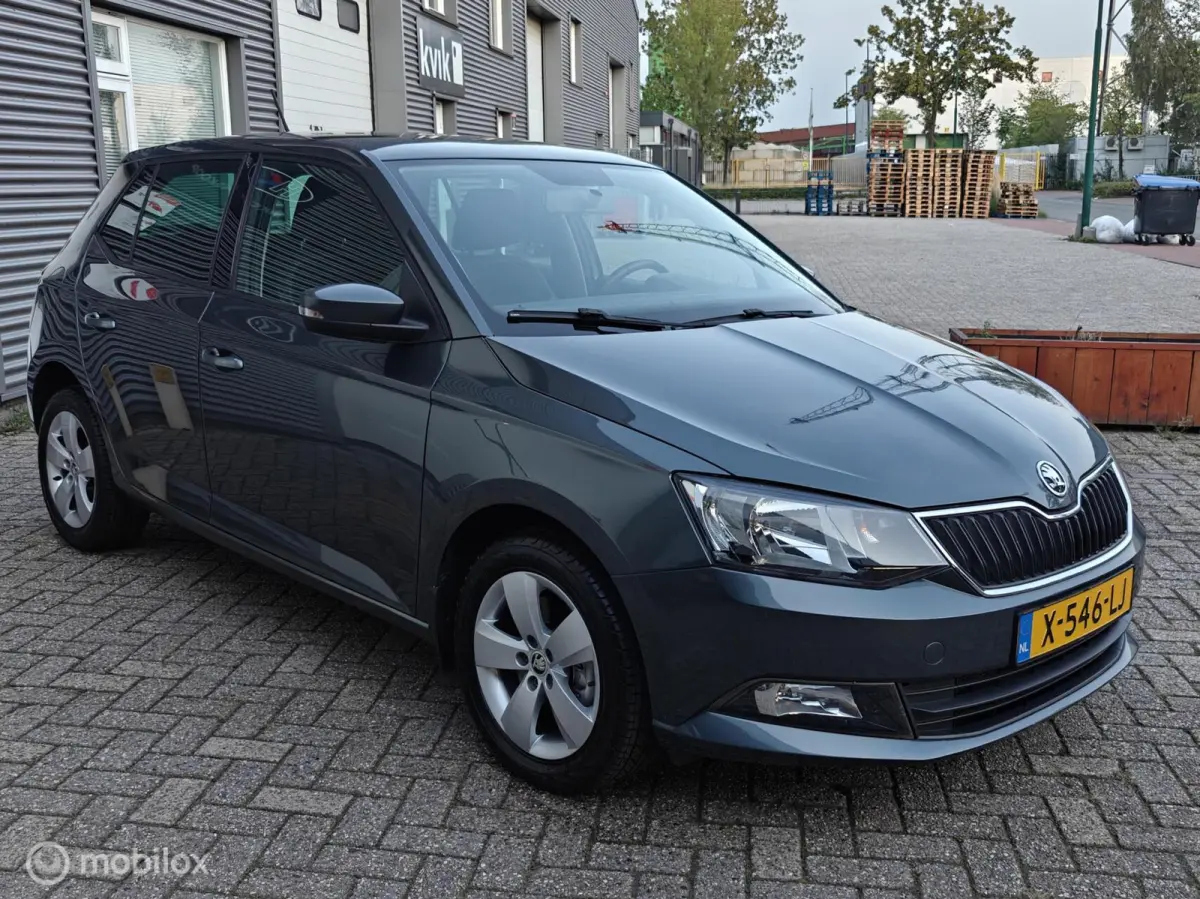 Hatchback 1.2TSi 110pk DSG-7 AUTOMAAT JOY LM PDC