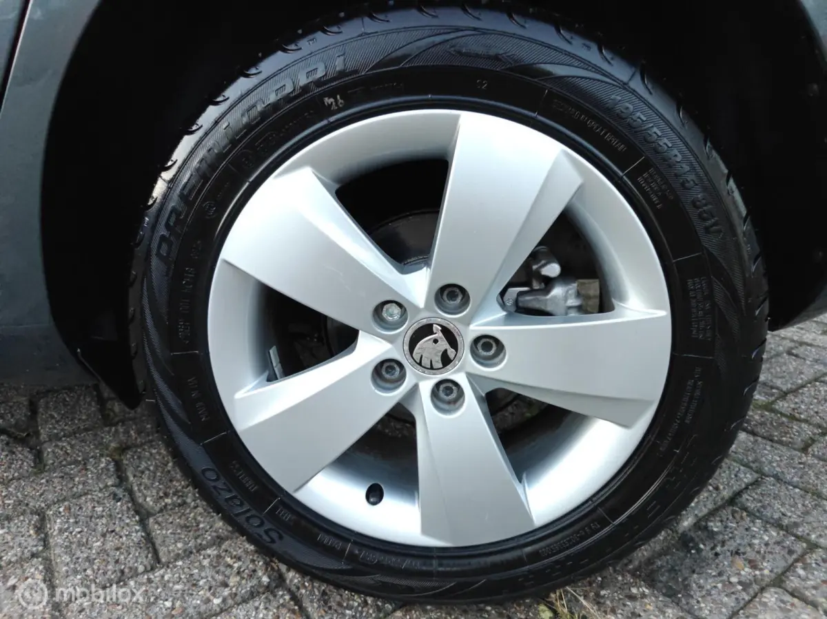 Hatchback 1.2TSi 110pk DSG-7 AUTOMAAT JOY LM PDC