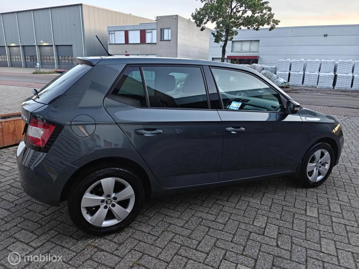 Hatchback 1.2TSi 110pk DSG-7 AUTOMAAT JOY LM PDC