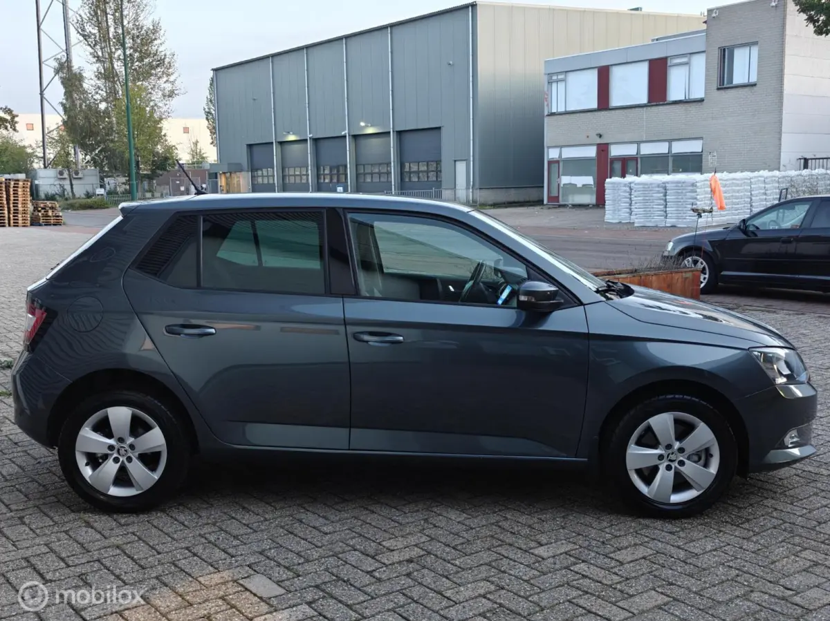 Hatchback 1.2TSi 110pk DSG-7 AUTOMAAT JOY LM PDC