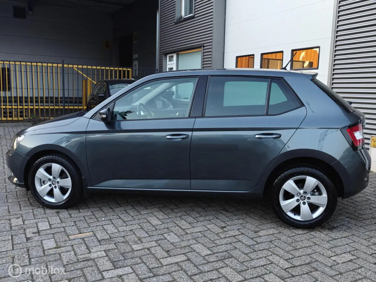 Hatchback 1.2TSi 110pk DSG-7 AUTOMAAT JOY LM PDC