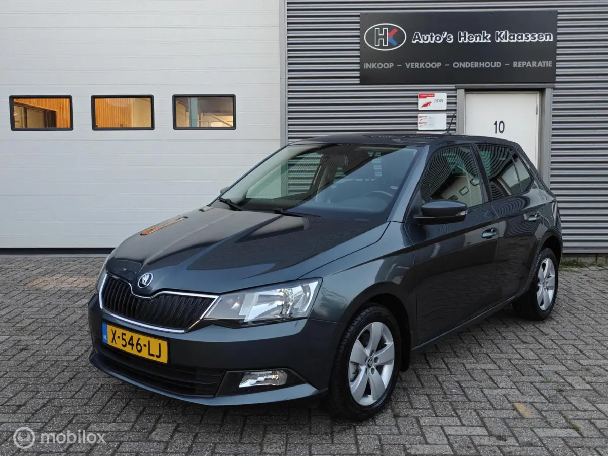 Hatchback 1.2TSi 110pk DSG-7 AUTOMAAT JOY LM PDC