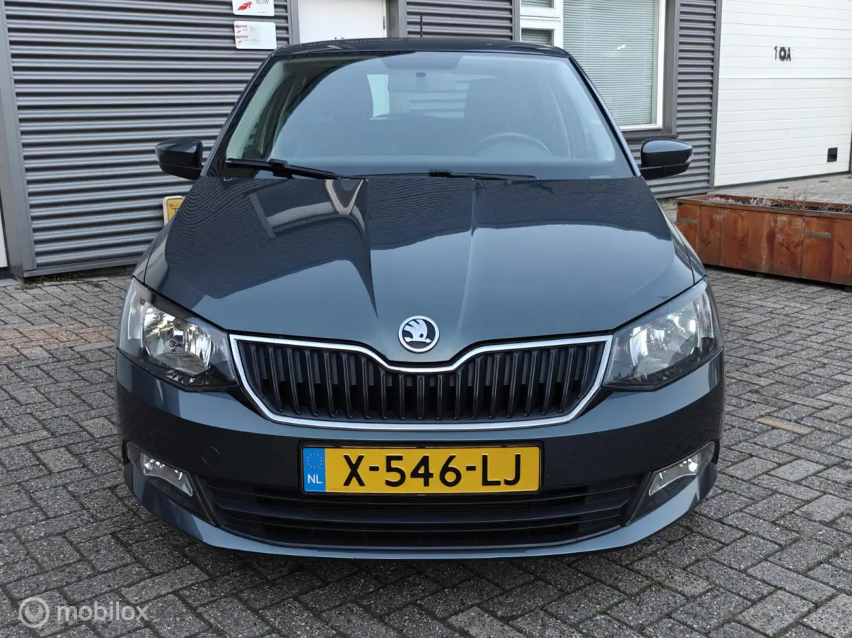 Hatchback 1.2TSi 110pk DSG-7 AUTOMAAT JOY LM PDC