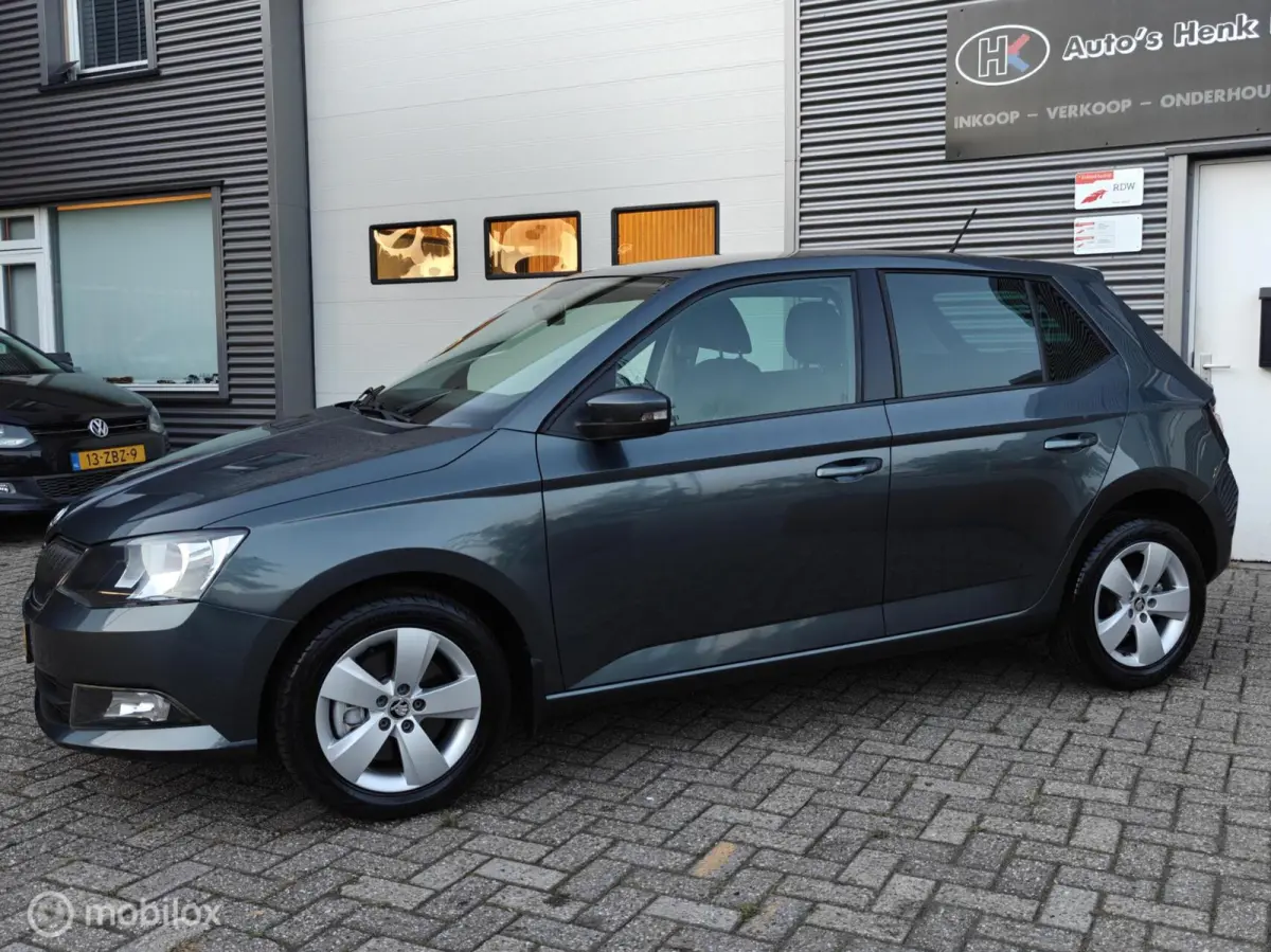 Hatchback 1.2TSi 110pk DSG-7 AUTOMAAT JOY LM PDC
