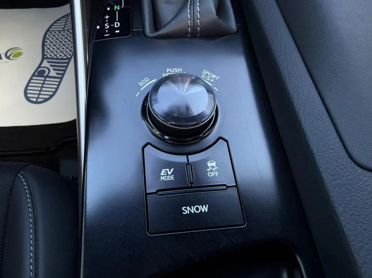 300h F Sport Edition - UNIEK/NAVI/CAMERA/LEER/NAP