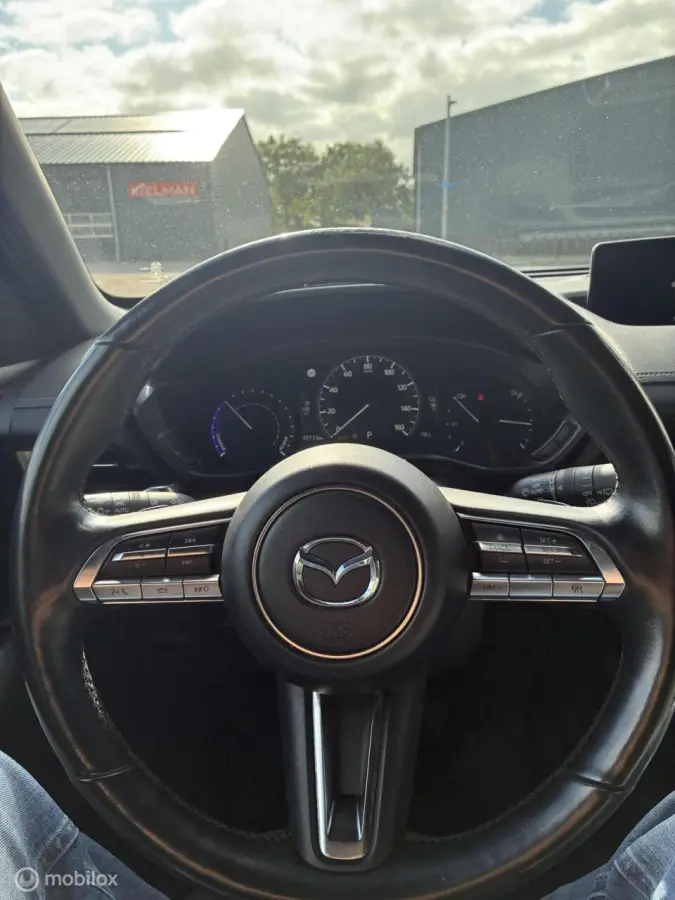 e-SkyActiv 145 36 kWh | SOH 94,25% | Camera | Stoel- & stuurverwarming | 49.732 km