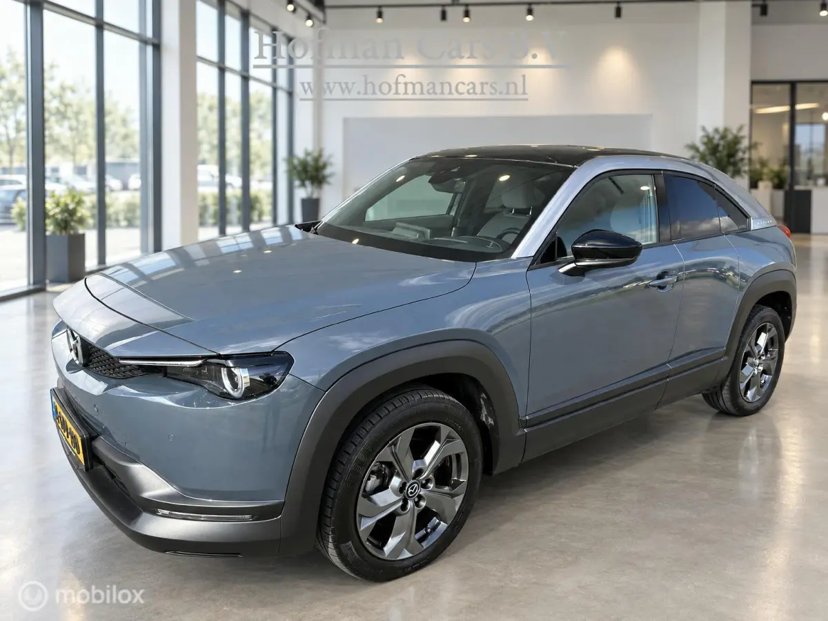 e-SkyActiv 145 36 kWh | SOH 94,25% | Camera | Stoel- & stuurverwarming | 49.732 km