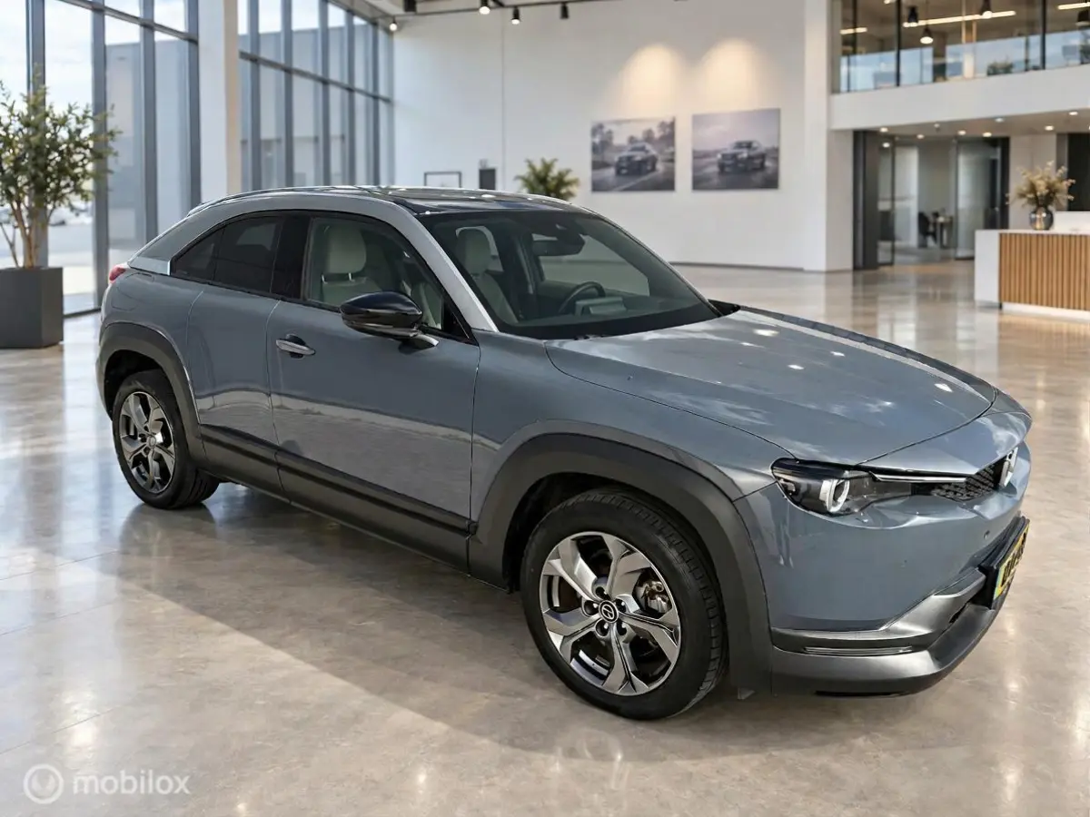 e-SkyActiv 145 36 kWh | SOH 94,25% | Camera | Stoel- & stuurverwarming | 49.732 km