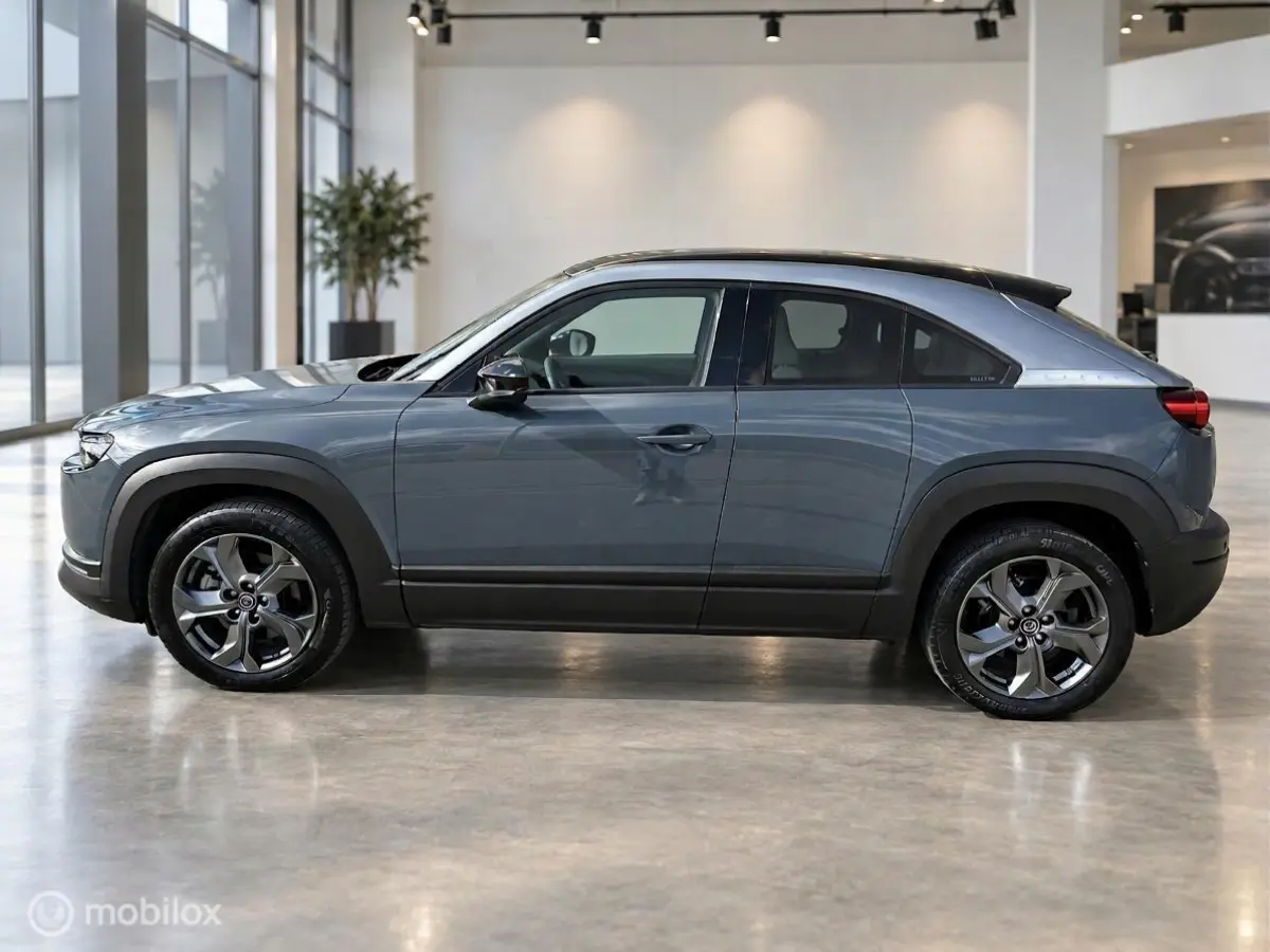e-SkyActiv 145 36 kWh | SOH 94,25% | Camera | Stoel- & stuurverwarming | 49.732 km