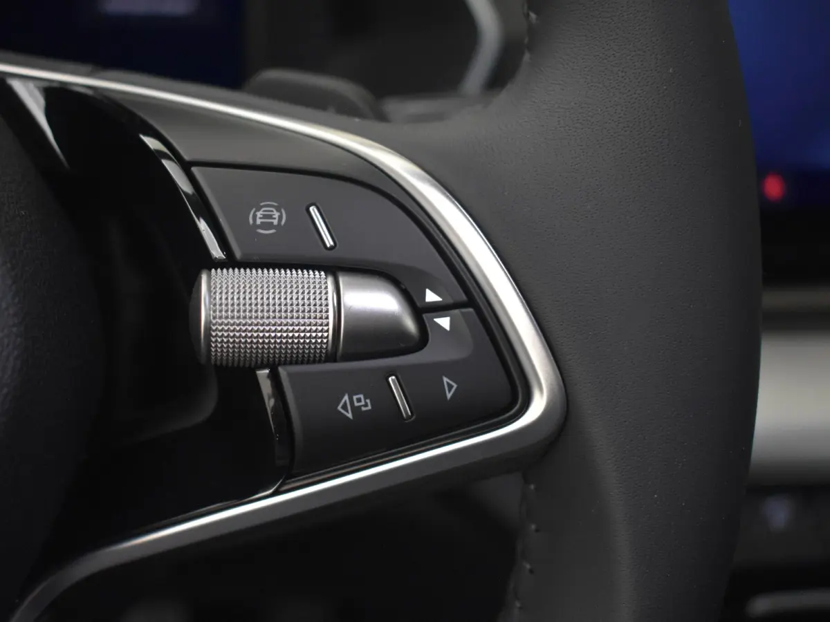 Business Edition Plus | Achteruitrijcamera | Chromen grille | Driving mode select