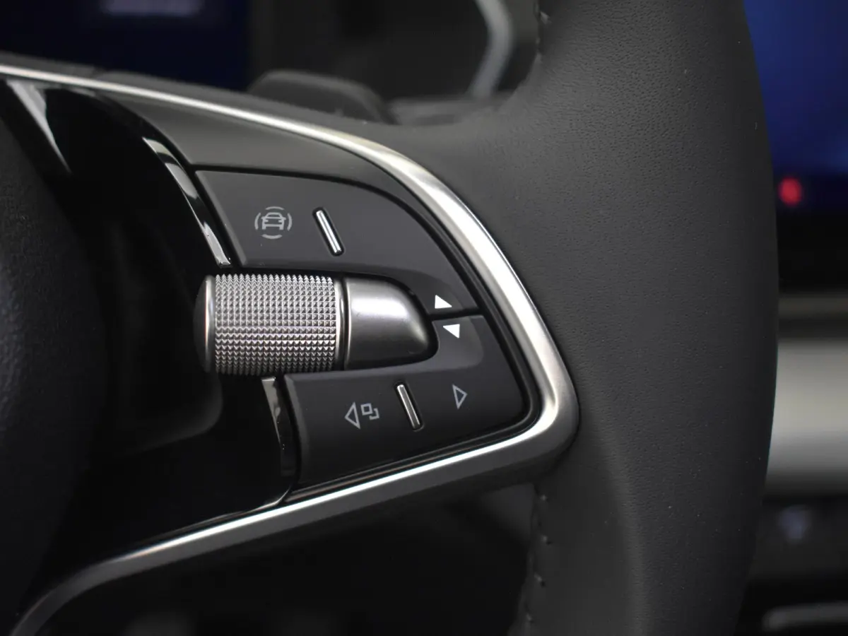 Business Edition Plus | Achteruitrijcamera | Chromen grille | Driving mode select