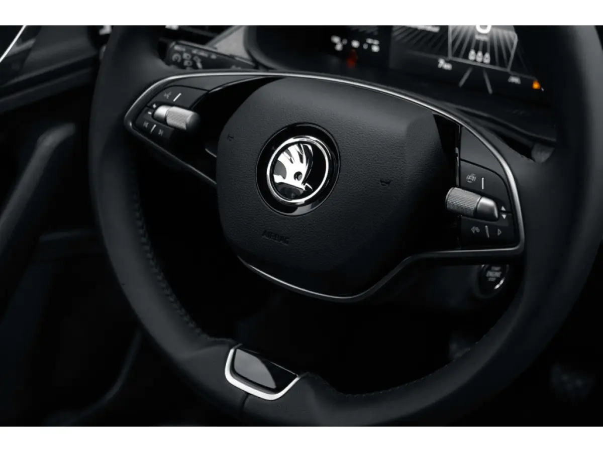 Selection | Cruise control met speedlimiter | Driver Activity Assistant, vermoeidheid waarschuwingssysteem | Front Assist, proactief remsysteem