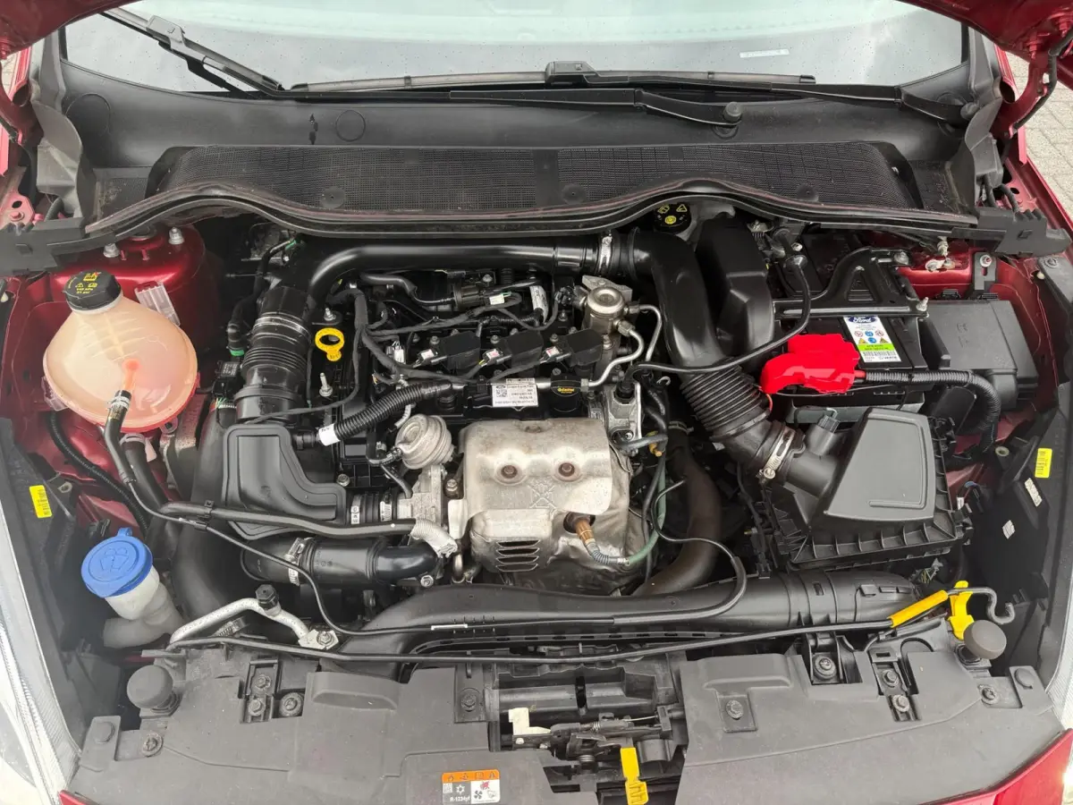 1.0 EcoBoost Titanium | 2E EIGENAAR | 3/6 OF 12 MND GARANTIE | CAMERA | PANO DAK | TREKHAAK | CARPLAY |