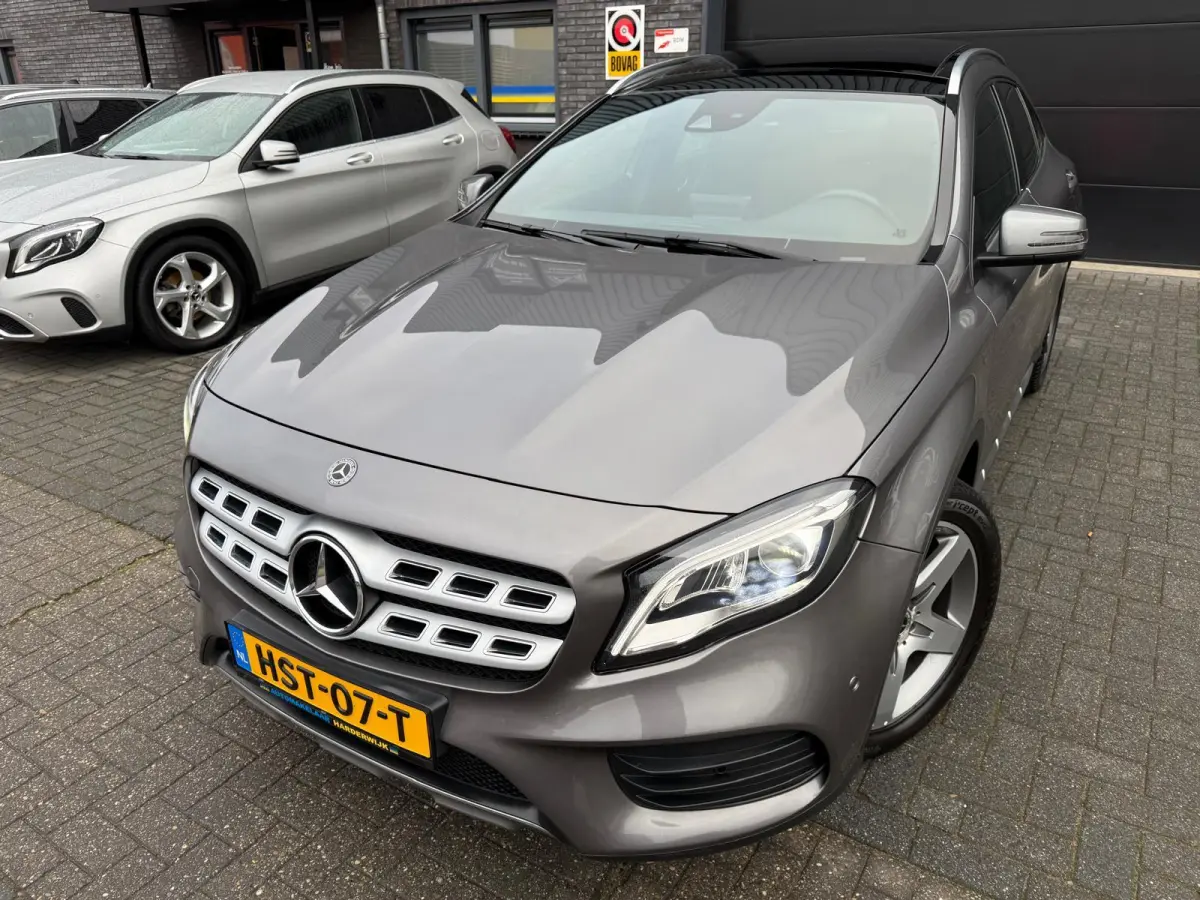 250 Premium Plus | 1E EIGENAAR | 3/6/12MND GARANTIE | LED | DAB | TREKHAAK | CRUISE | PANO |