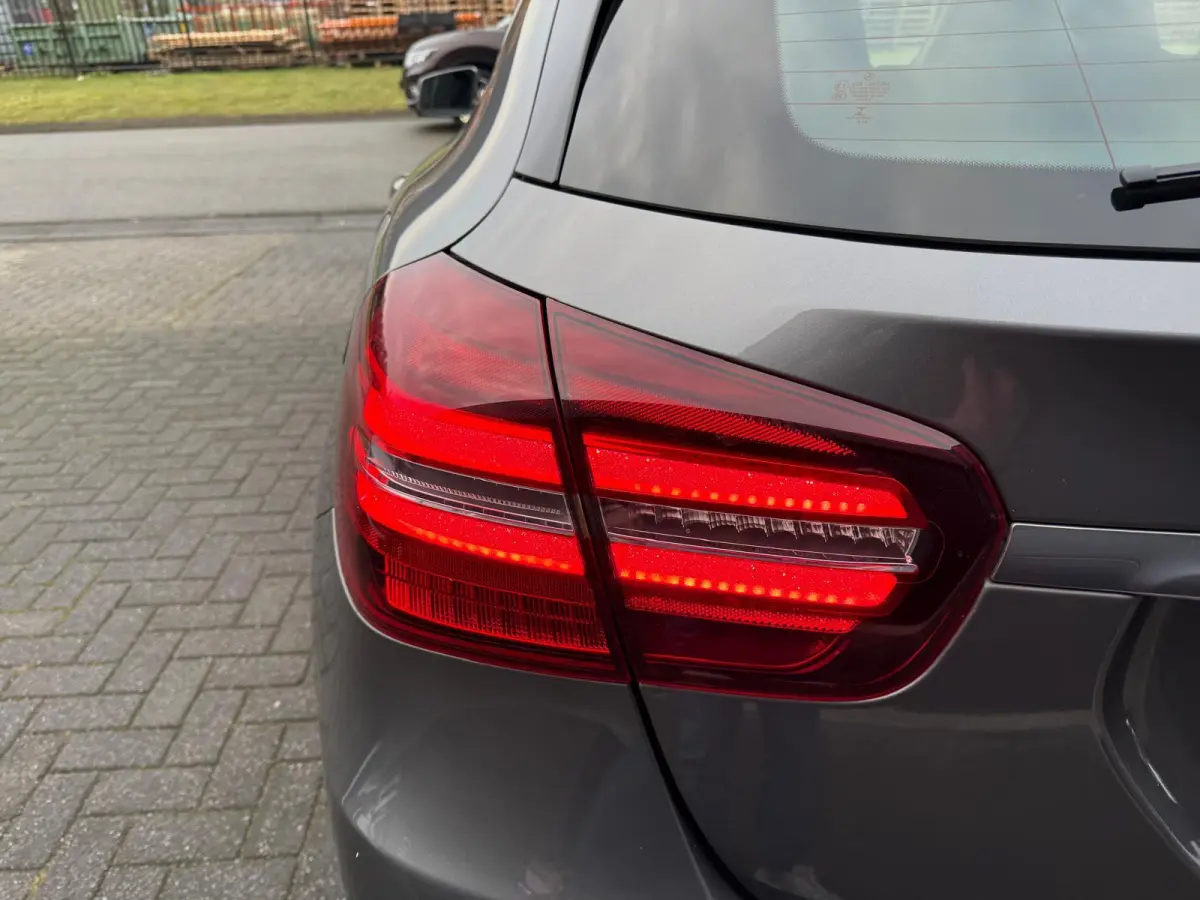 250 Premium Plus | 1E EIGENAAR | 3/6/12MND GARANTIE | LED | DAB | TREKHAAK | CRUISE | PANO |