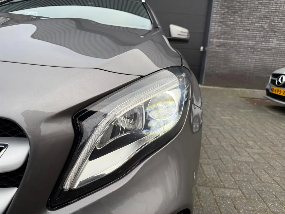 250 Premium Plus | 1E EIGENAAR | 3/6/12MND GARANTIE | LED | DAB | TREKHAAK | CRUISE | PANO |