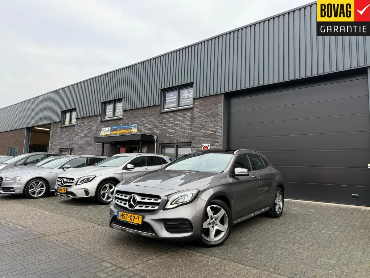 250 Premium Plus | 1E EIGENAAR | 3/6/12MND GARANTIE | LED | DAB | TREKHAAK | CRUISE | PANO |