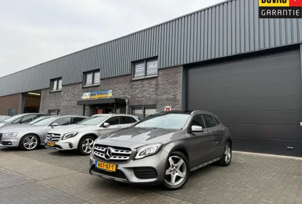 250 Premium Plus | 1E EIGENAAR | 3/6/12MND GARANTIE | LED | DAB | TREKHAAK | CRUISE | PANO |