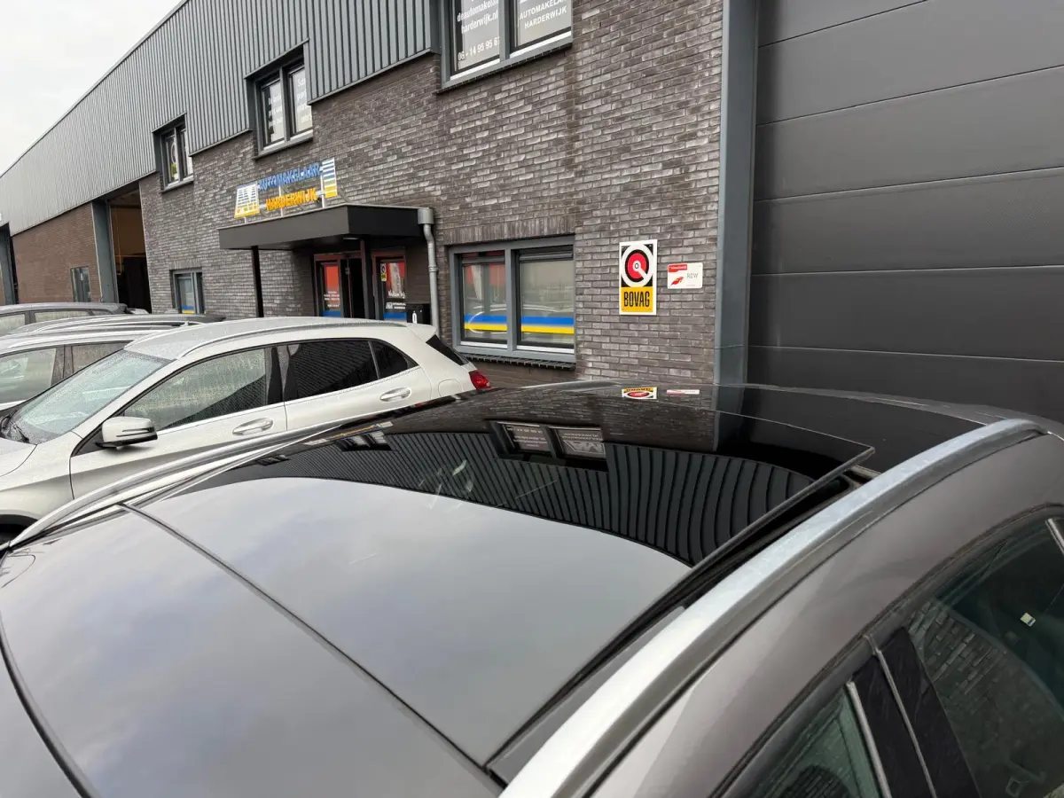 250 Premium Plus | 1E EIGENAAR | 3/6/12MND GARANTIE | LED | DAB | TREKHAAK | CRUISE | PANO |
