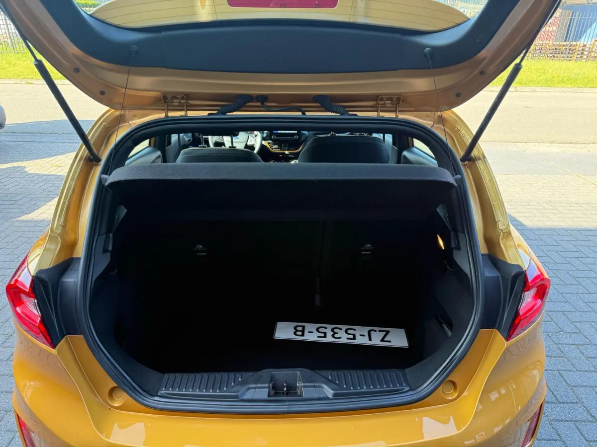 1.0 EcoBoost Active First Edition | 2E EIGENAAR | 3/6/12MND GARANTIE | AIRCO | CRUISE | DAB | CARPLAY | TREKHAAK | NAVI |