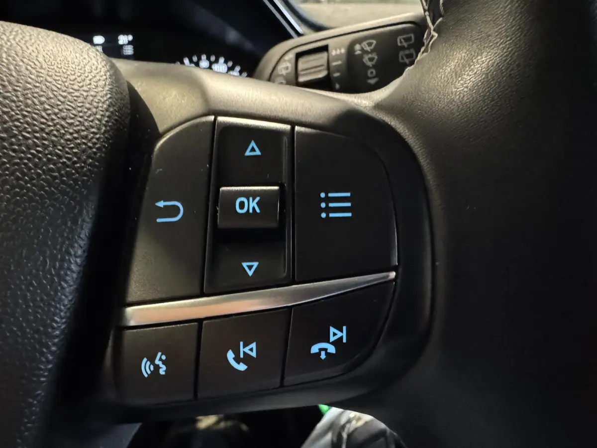1.0 EcoBoost Hybrid Titanium | carplay | stoelverwarming |