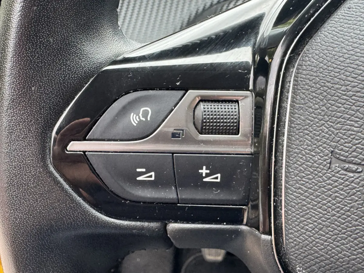 1.2 PureTech Active Airco Carplay