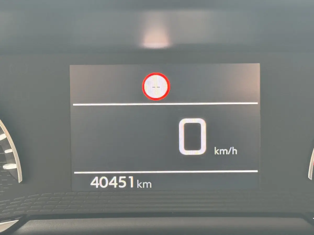 1.2 PureTech Active Airco Carplay