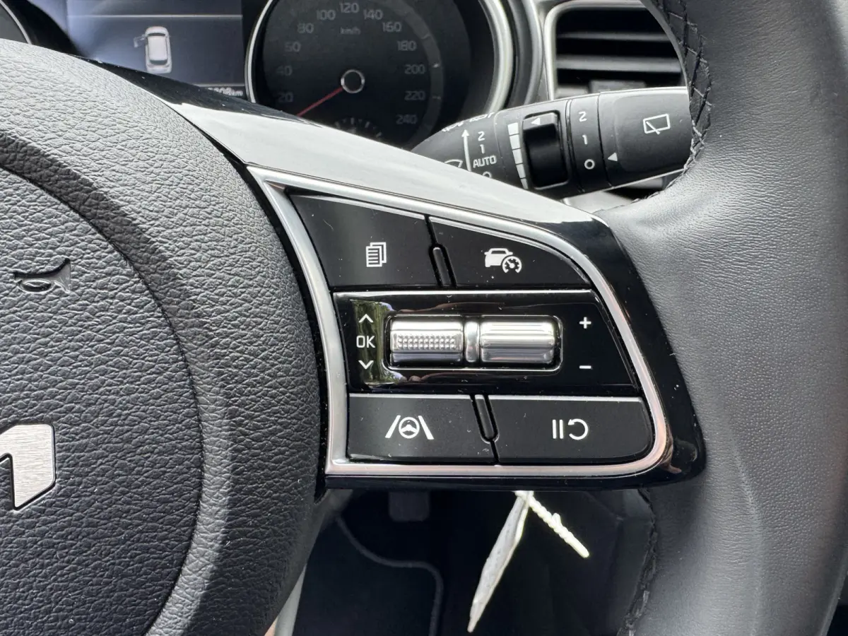 1.0 T-GDi DynamicLine Climate Control Navi Camera Carplay