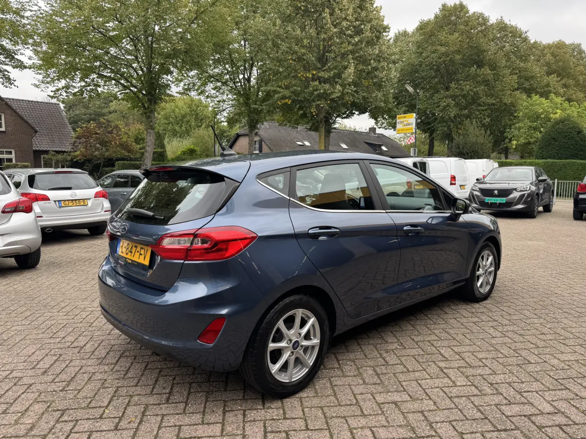 1.0 EcoBoost Titanium Automaat Navi Carplay