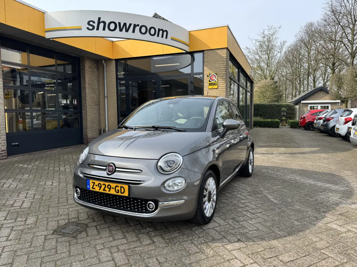 1.0 Hybrid Dolcevita Airco Leder Panodak Carplay