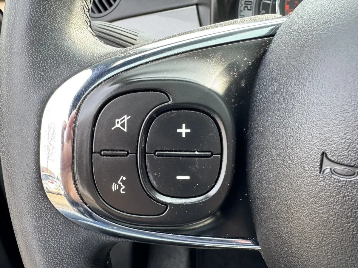 1.0 Hybrid Dolcevita Airco Leder Panodak Carplay