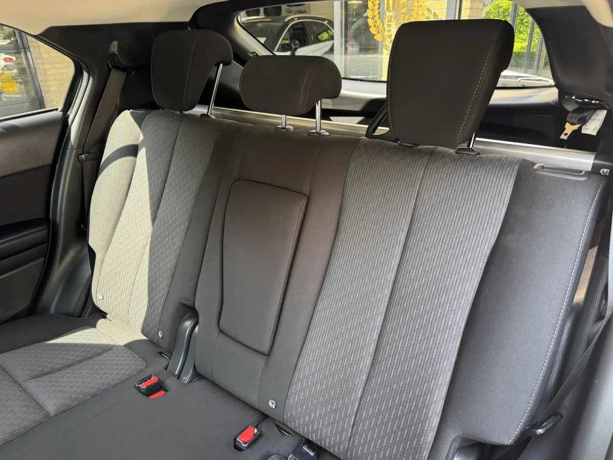 2.4 PHEV Intense Climate Control Camera Carplay Trekhaak