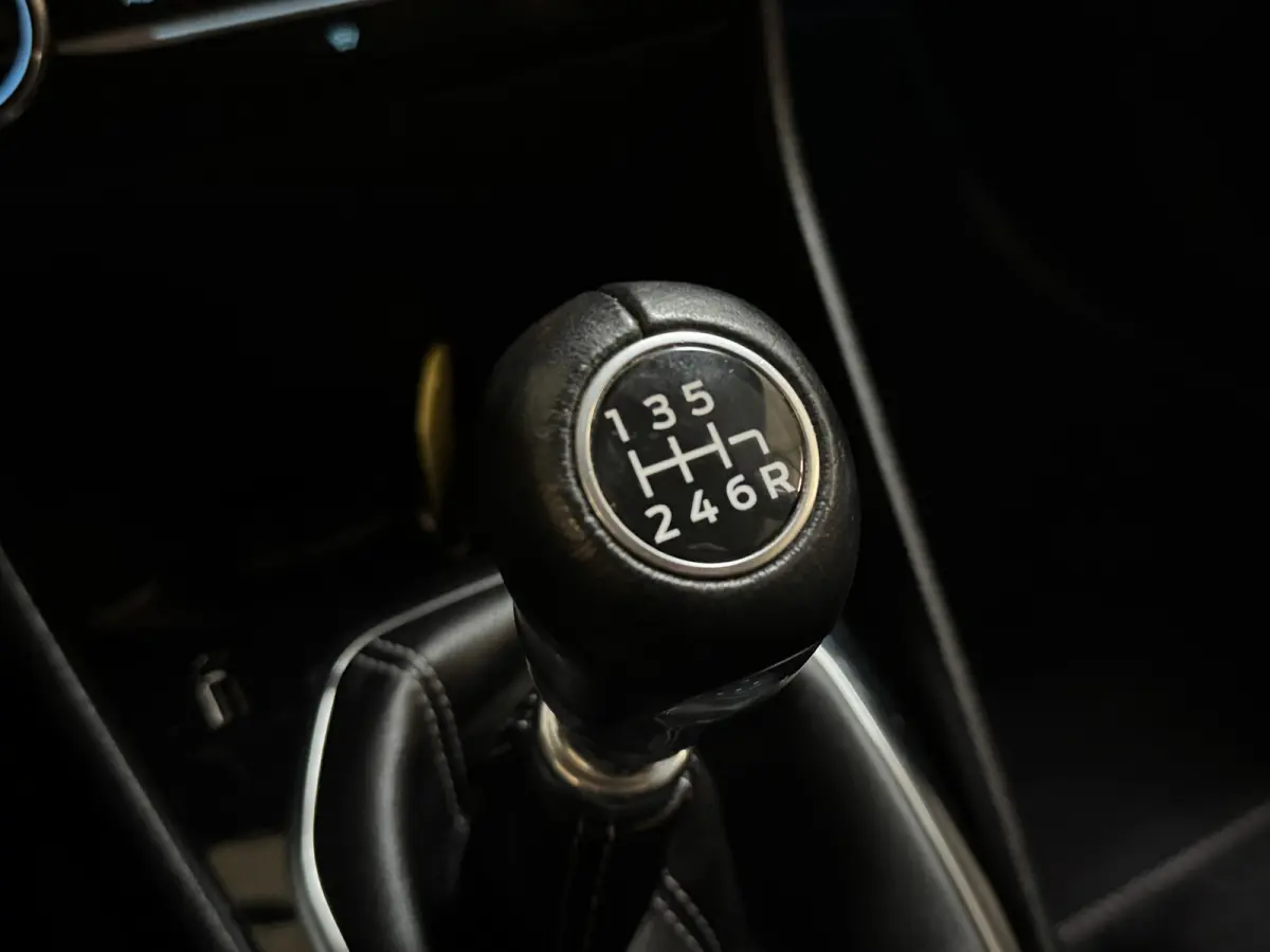1.0 EcoBoost 101 PK TITANIUM 1e eigenaar NAVI/LED/CRUISE