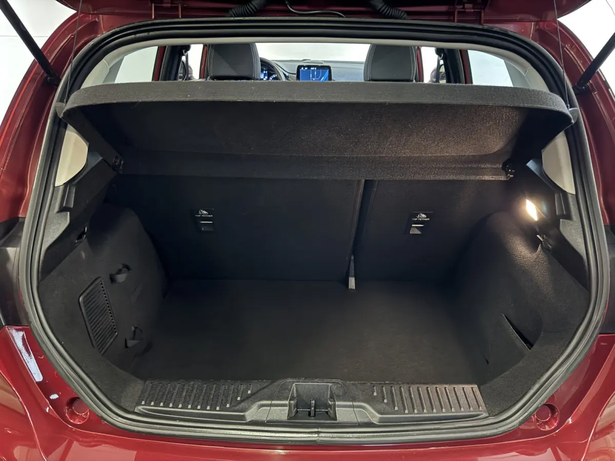 1.0 EcoBoost 101 PK TITANIUM 1e eigenaar NAVI/LED/CRUISE