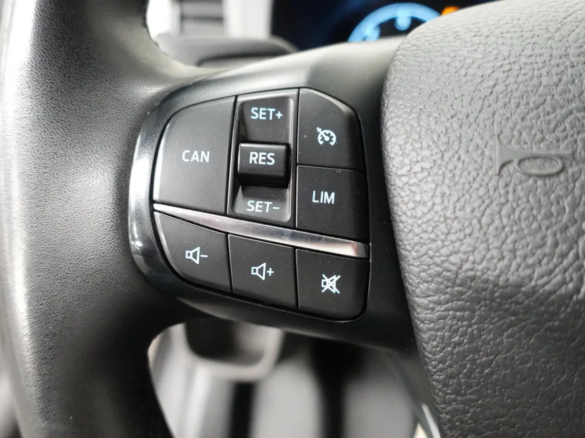310 2.0 TDCI L2H2 Trend Automaat Airco Bluetooth Camera Cruise Control