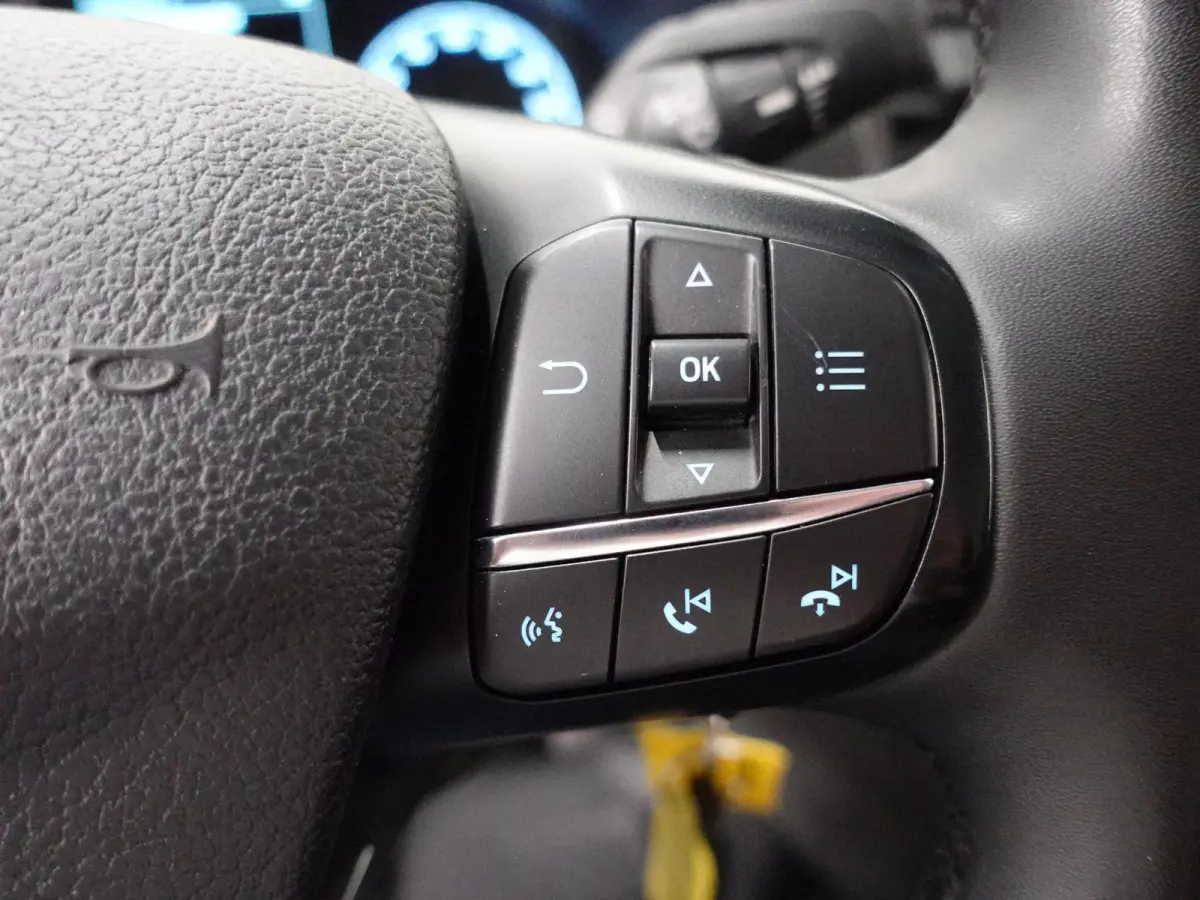 310 2.0 TDCI L2H2 Trend Automaat Airco Bluetooth Camera Cruise Control