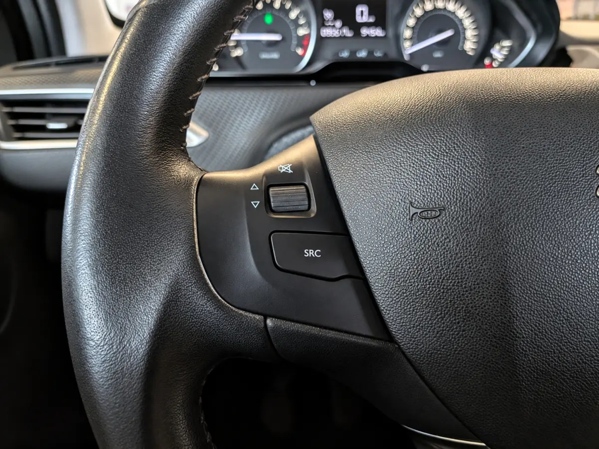 1.2 PureTech Blue Lion Panoramadak, Airco, Cruise Control, Stuurbekrachtiging