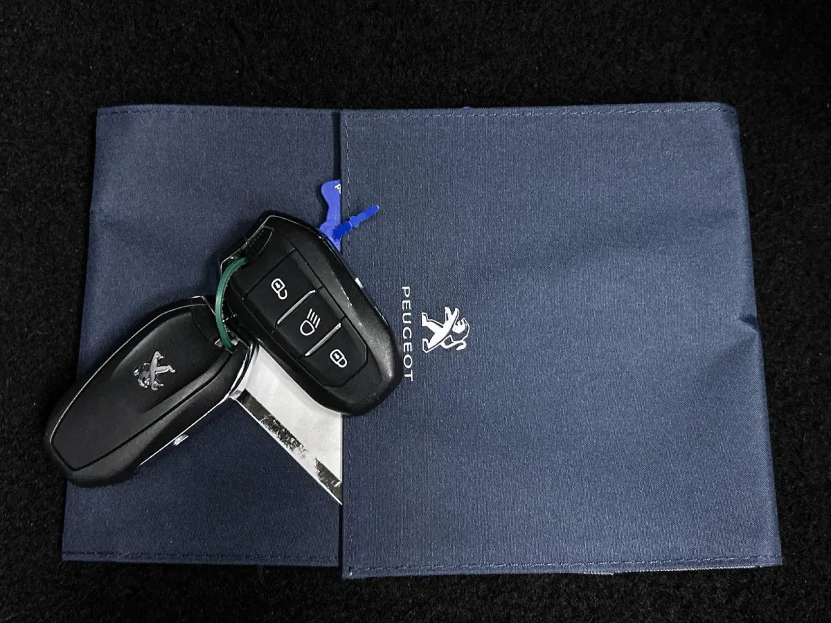 EV Allure 50 kWh | Navigatie | Camera | Climate Control | Accu 92% | Apple CarPlay / Android Auto