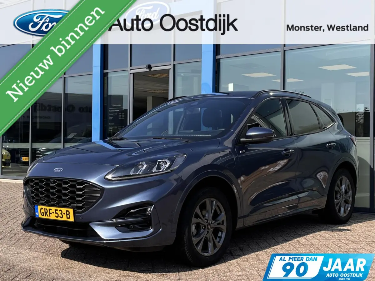 2.5 PHEV ST-Line X 225PK Elek. Trekhaak Adaptieve Cruise Winterpack Camera Blind-Spot Navi Climate B&O Head-Up Privacy Glass Keyless *1500KG Trekgewicht*