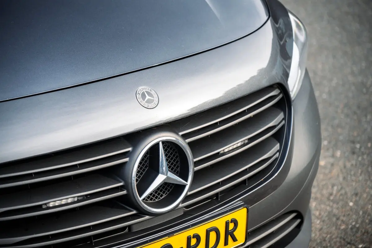 110 CDI L1 Pro I cruise I camera I stoelverwarming I trekhaak I