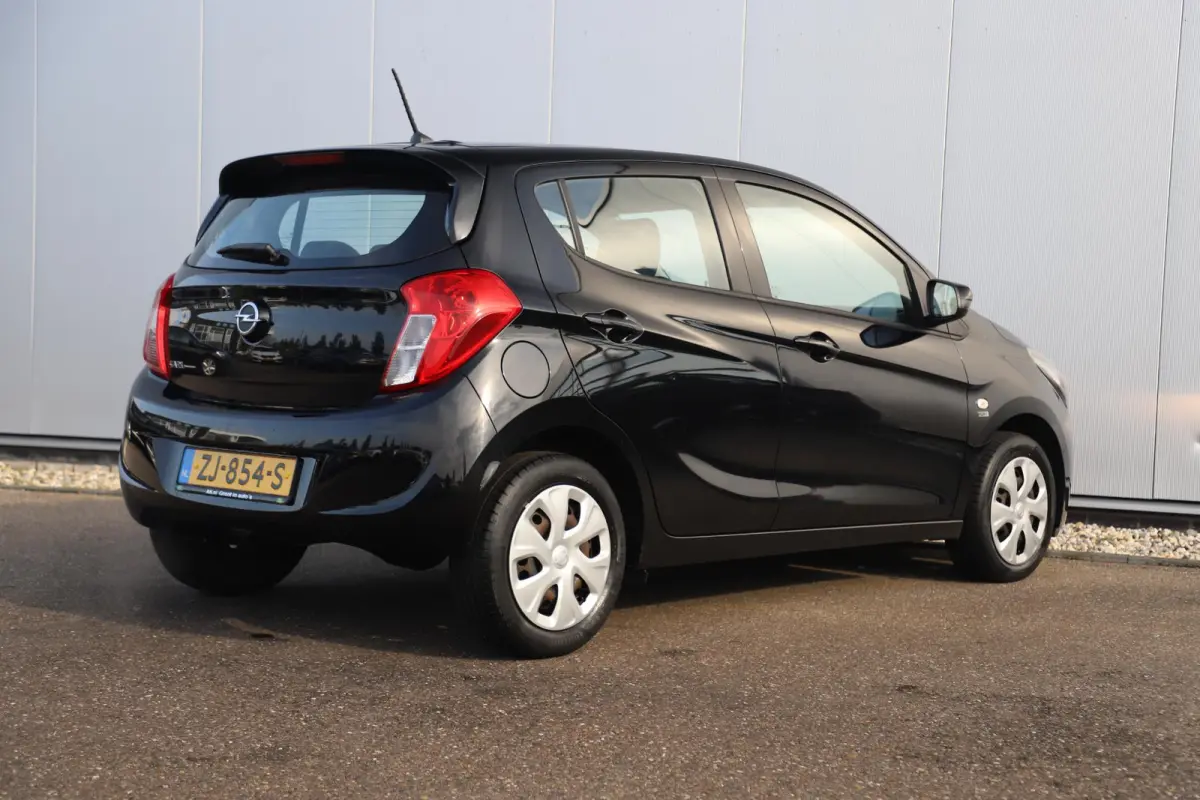 1.0 ecoFLEX 120 Jaar Edition Airco Radio Bluetooth Elektrische Ramen