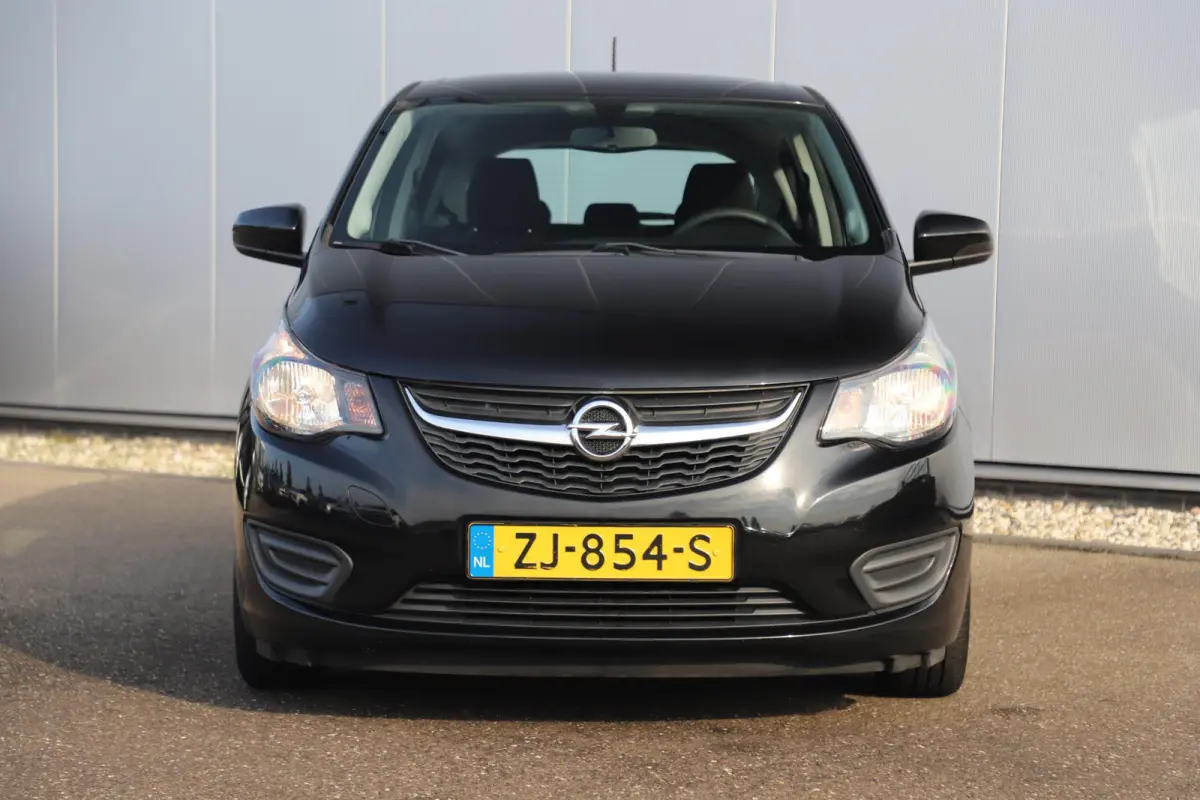 1.0 ecoFLEX 120 Jaar Edition Airco Radio Bluetooth Elektrische Ramen