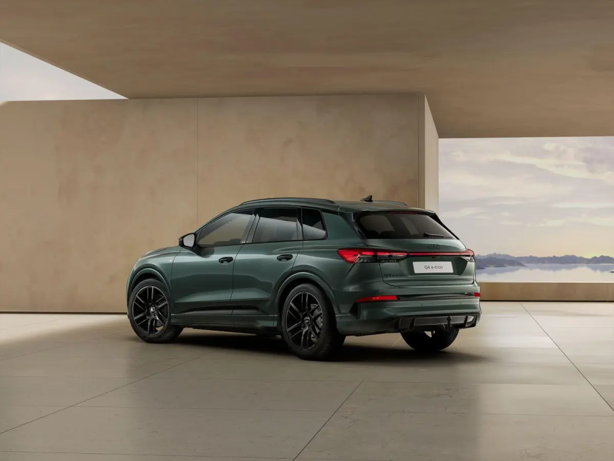 S Edition 82 kWh | Passagiers Display | 21" Velgen