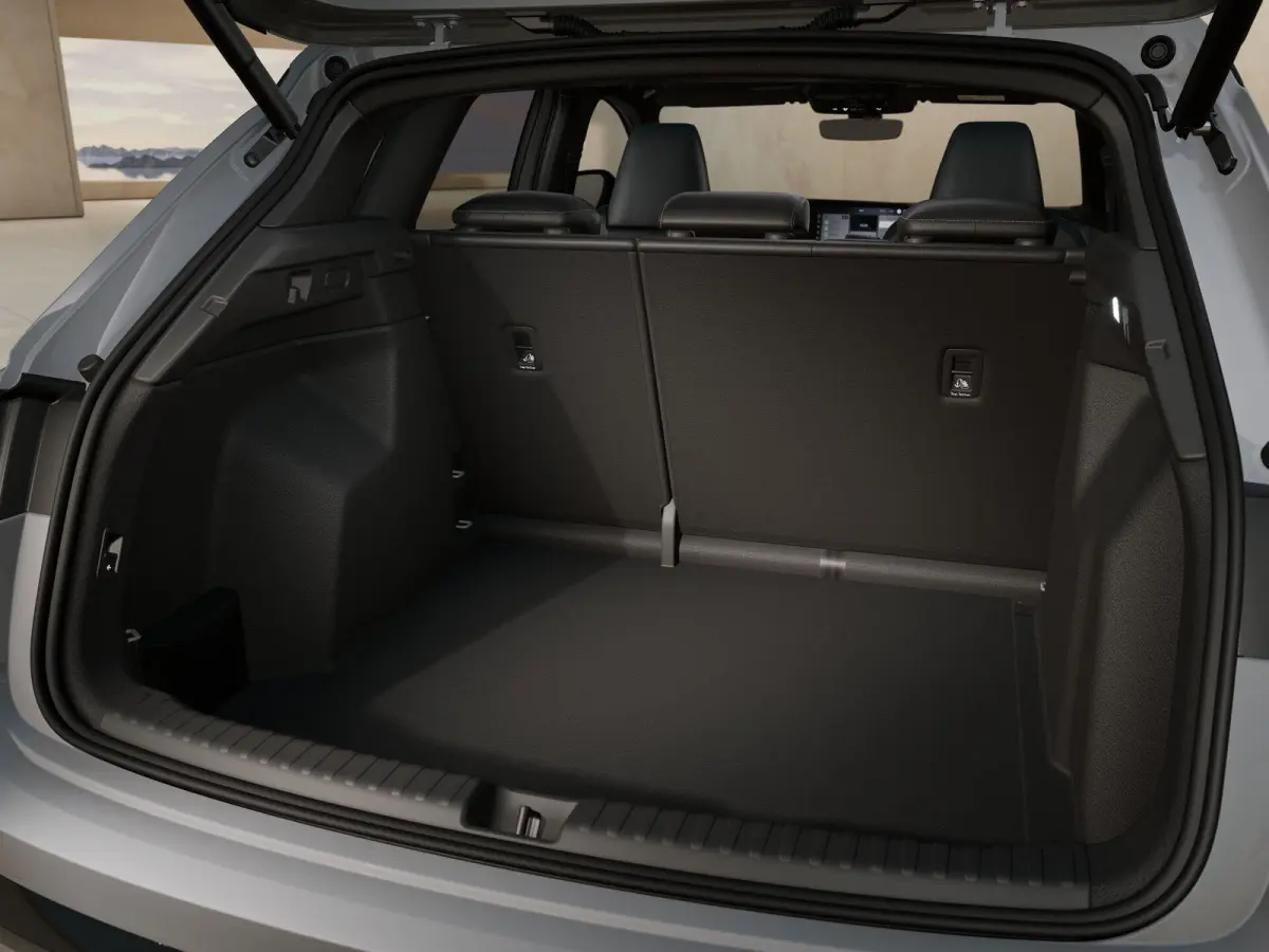 286pk S Edition 82 kWh | 21" Velgen | Panoramadak