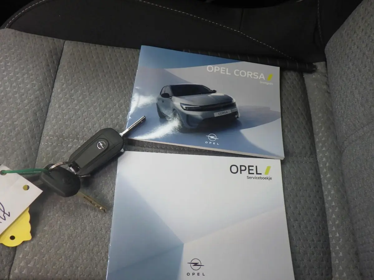 1.2 Turbo Hybrid Business Edition | Dode hoek waarschuwing | Draadloze Apple Carplay en Android Auto | LED koplampen met LED dagrijverlichting